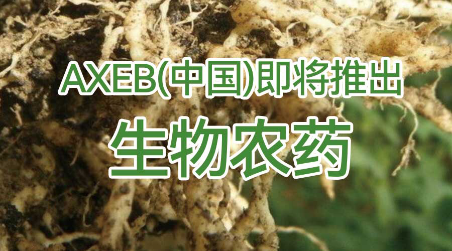 AXEB(中国)＆科研院校：加强生物杀线剂在中国市场的验证应用